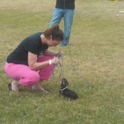 Pets in the Park