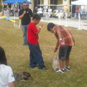 Pets in the Park