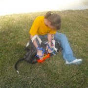 Pets in the Park