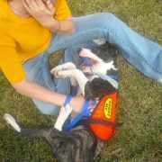 Pets in the Park