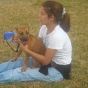 Pets in the Park