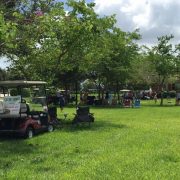 Memorial / Picnic Day