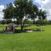 Memorial / Picnic Day