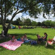 Memorial / Picnic Day