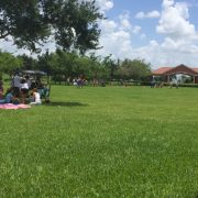 Memorial / Picnic Day