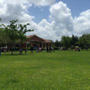 Memorial / Picnic Day