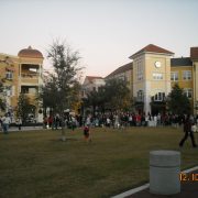 Celebration of Lights