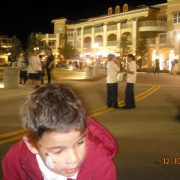 Celebration of Lights