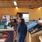 Collier Family Farm Fall Fest