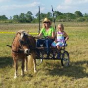Collier Family Farm Fall Fest
