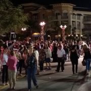 Celebration of Lights