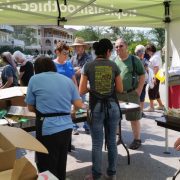 Sunshine State Steak Cook-Off