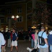 Celebration of Lights