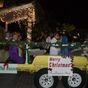Celebration of Lights