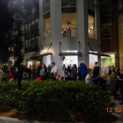 Celebration of Lights