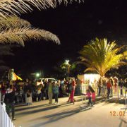Celebration of Lights
