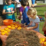 Family Fun Day