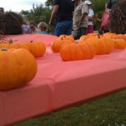 Family Fun Day