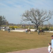 Family Fun Festival