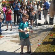 Family Fun Festival