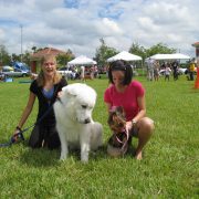 Posh Pets in the Park