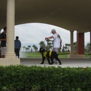 Posh Pets in the Park