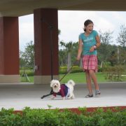 Posh Pets in the Park