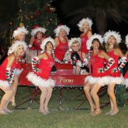 Celebration of Lights