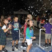Celebration of Lights