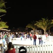 Celebration of Lights