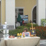 Festival of the Arts