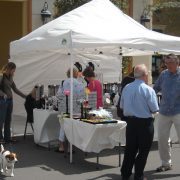 Festival of the Arts