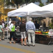Festival of the Arts