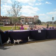 Festival of the Arts