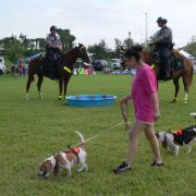 Posh Pets in the Park