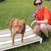 Posh Pets in the Park