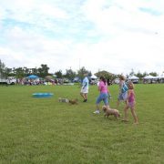 Posh Pets in the Park