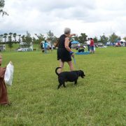 Posh Pets in the Park (Pt 2)