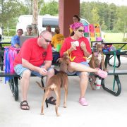 Posh Pets in the Park (Pt 2)