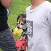 Posh Pets in the Park (Pt 2)