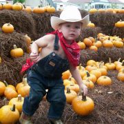 Fall Festival