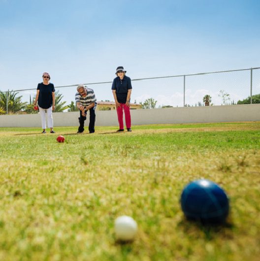 Bocce Game