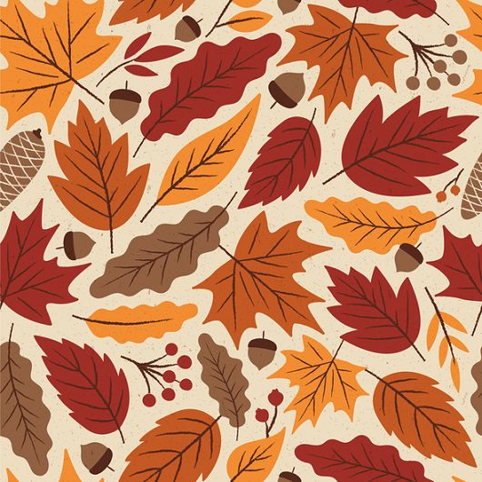 Fall leaves in Ave Maria, Florida