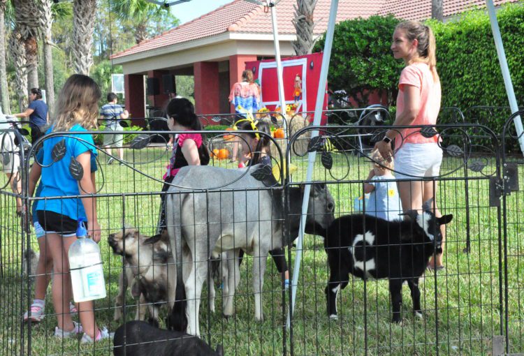 Petting zoo outside with a few young children