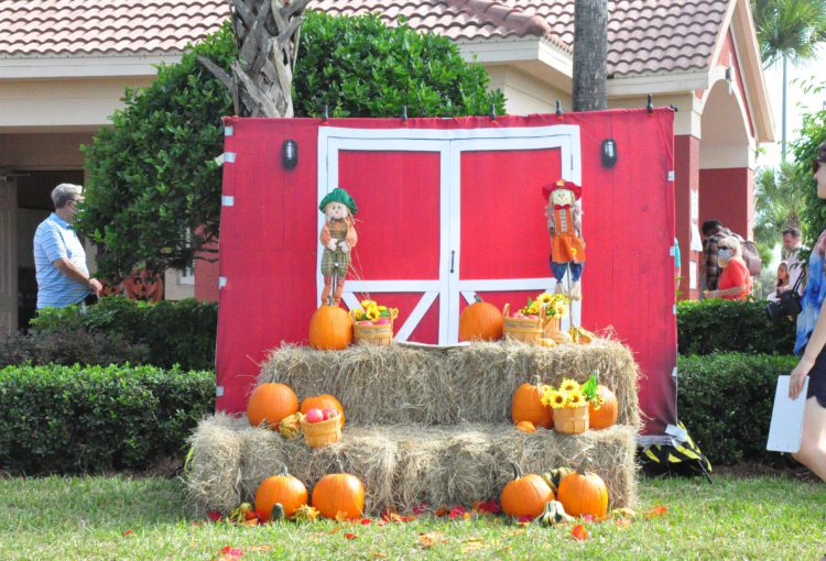 Fall Festival Photo Area