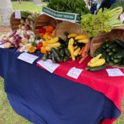 Farmers Market