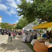 Margarita & Taco Festival