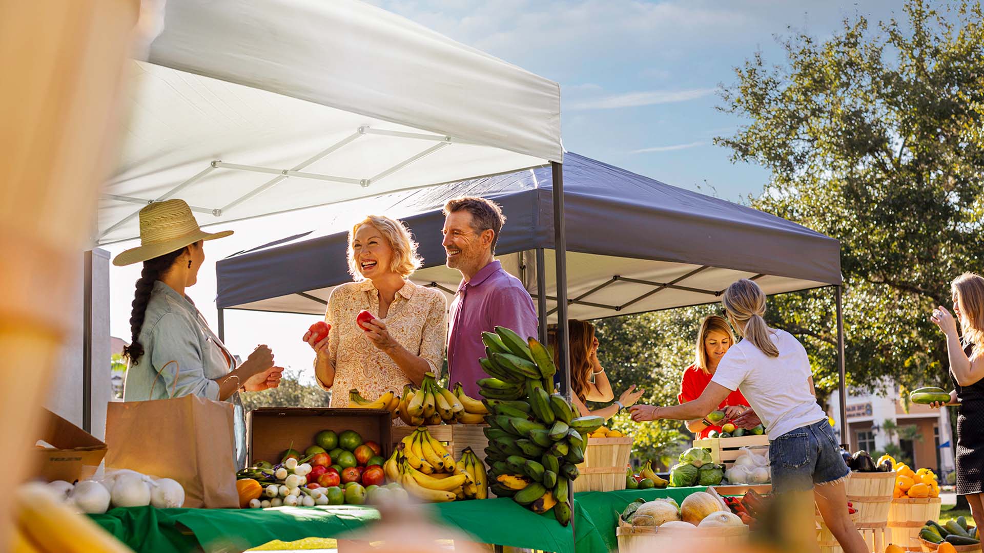 Shoppers buying fruit at farmers market