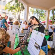 Margarita & Taco Festival