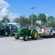 Fall Festival